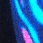 Prof. Dr. Kerstin Palm